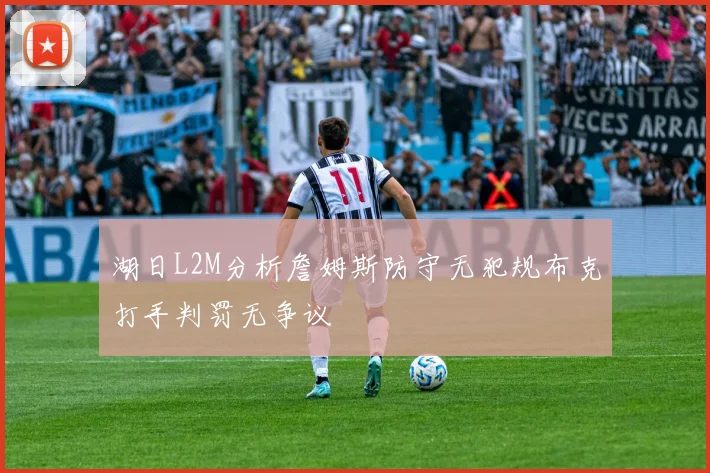 湖日L2M分析詹姆斯防守无犯规布克打手判罚无争议