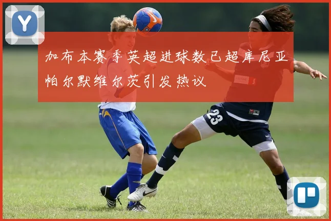 加布本赛季英超进球数已超库尼亚帕尔默维尔茨引发热议