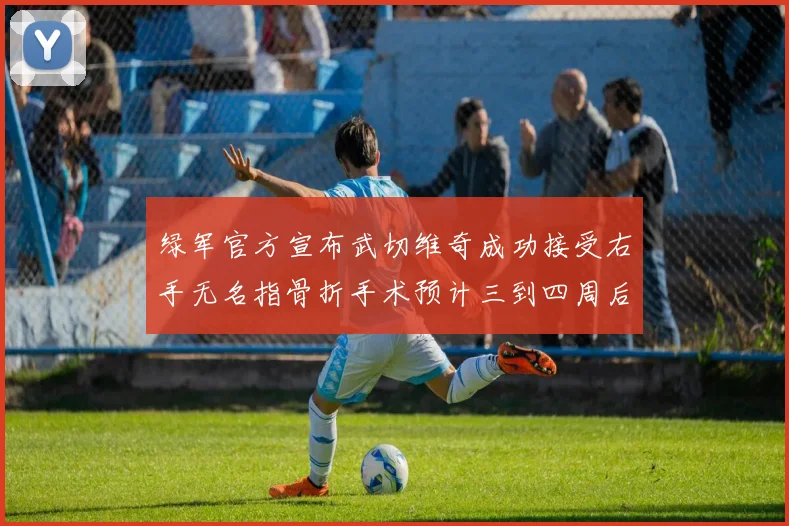 绿军官方宣布武切维奇成功接受右手无名指骨折手术预计三到四周后复查